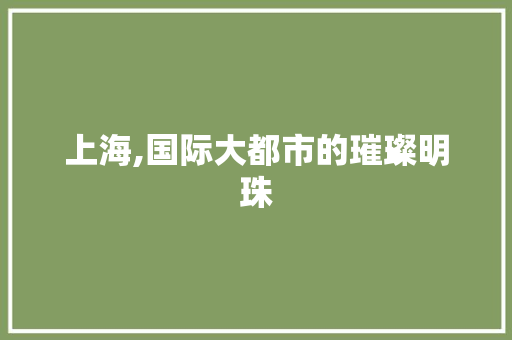 上海,国际大都市的璀璨明珠