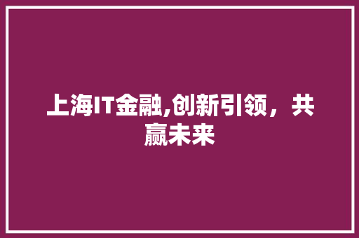 上海IT金融,创新引领，共赢未来