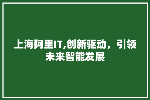 上海阿里IT,创新驱动，引领未来智能发展
