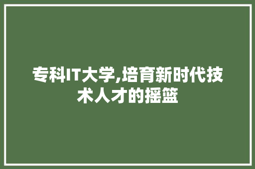 专科IT大学,培育新时代技术人才的摇篮