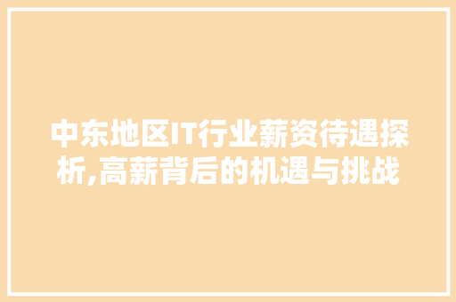 中东地区IT行业薪资待遇探析,高薪背后的机遇与挑战