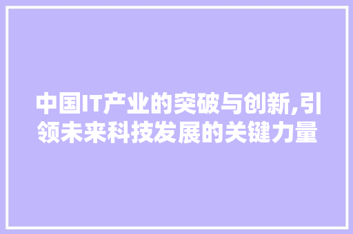 中国IT产业的突破与创新,引领未来科技发展的关键力量