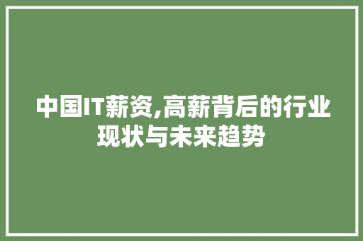 中国IT薪资,高薪背后的行业现状与未来趋势