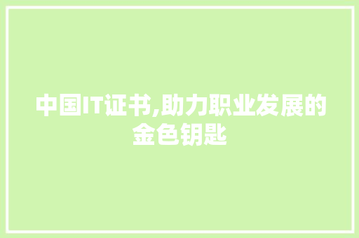 中国IT证书,助力职业发展的金色钥匙