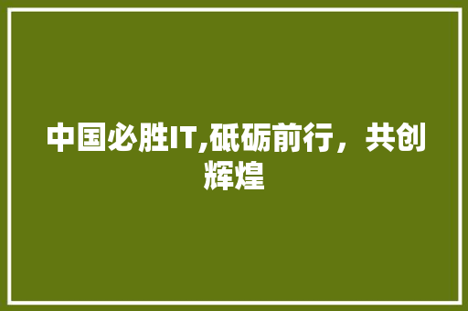 中国必胜IT,砥砺前行，共创辉煌