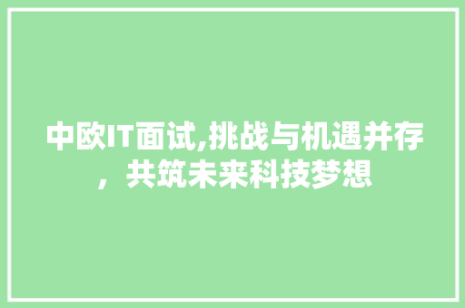 中欧IT面试,挑战与机遇并存，共筑未来科技梦想