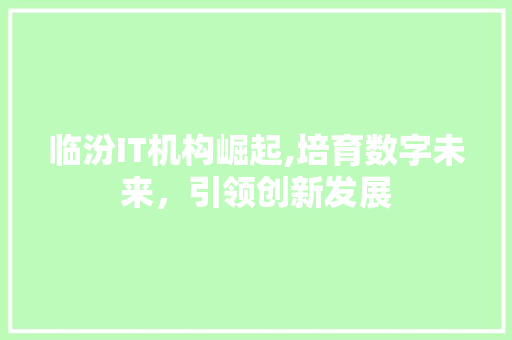 临汾IT机构崛起,培育数字未来，引领创新发展