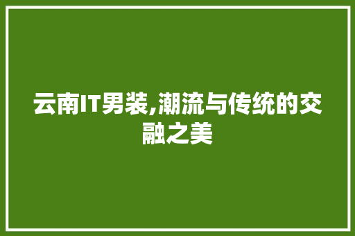 云南IT男装,潮流与传统的交融之美