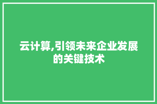 云计算,引领未来企业发展的关键技术