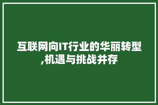 互联网向IT行业的华丽转型,机遇与挑战并存