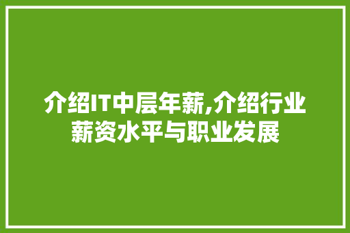 介绍IT中层年薪,介绍行业薪资水平与职业发展