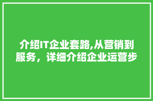 介绍IT企业套路,从营销到服务，详细介绍企业运营步骤