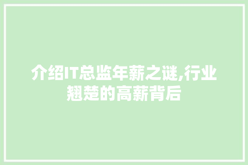介绍IT总监年薪之谜,行业翘楚的高薪背后