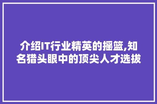 介绍IT行业精英的摇篮,知名猎头眼中的顶尖人才选拔标准