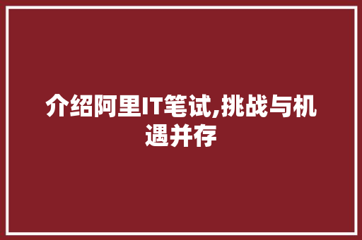 介绍阿里IT笔试,挑战与机遇并存