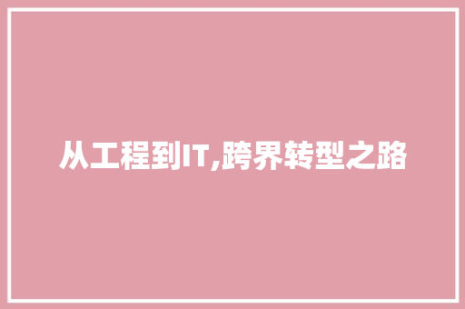 从工程到IT,跨界转型之路