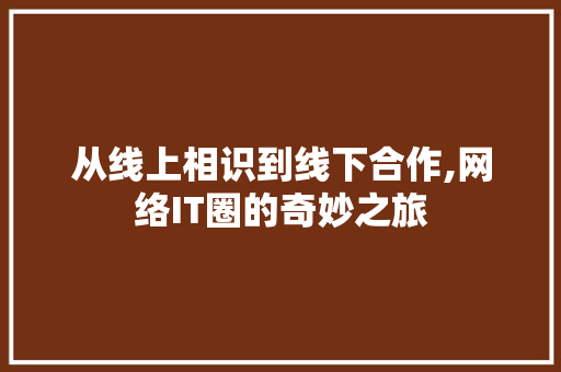 从线上相识到线下合作,网络IT圈的奇妙之旅
