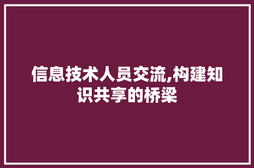 信息技术人员交流,构建知识共享的桥梁