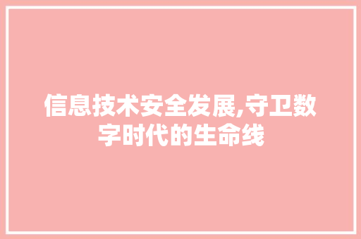 信息技术安全发展,守卫数字时代的生命线