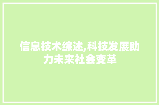 信息技术综述,科技发展助力未来社会变革