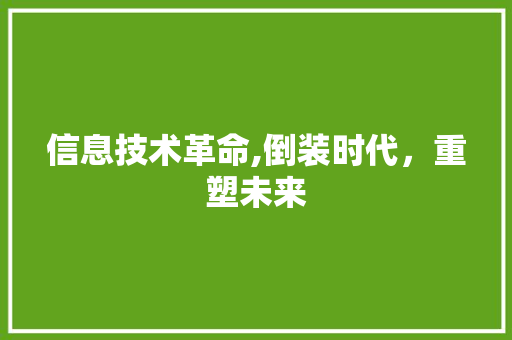 信息技术革命,倒装时代，重塑未来