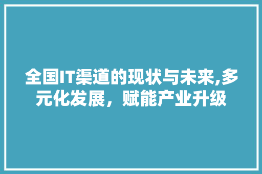 全国IT渠道的现状与未来,多元化发展，赋能产业升级
