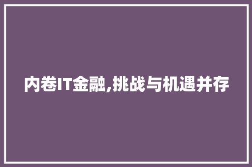 内卷IT金融,挑战与机遇并存