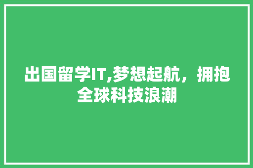出国留学IT,梦想起航，拥抱全球科技浪潮