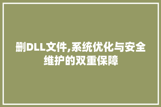 删DLL文件,系统优化与安全维护的双重保障