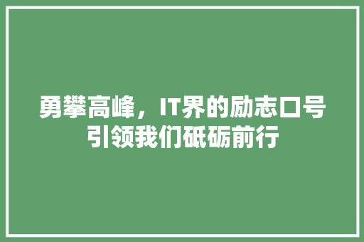 勇攀高峰，IT界的励志口号引领我们砥砺前行