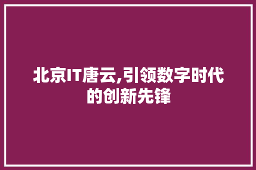 北京IT唐云,引领数字时代的创新先锋