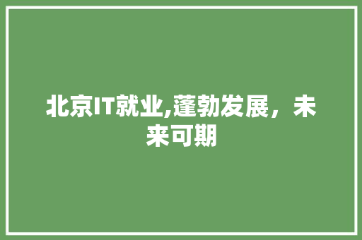 北京IT就业,蓬勃发展，未来可期