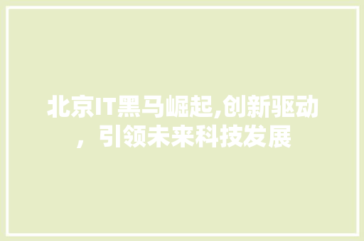 北京IT黑马崛起,创新驱动，引领未来科技发展