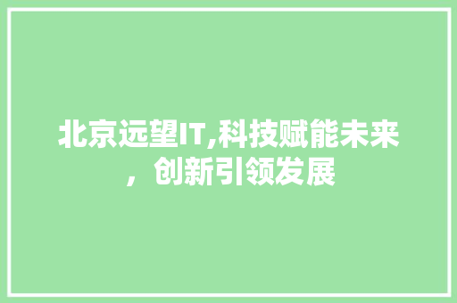 北京远望IT,科技赋能未来，创新引领发展