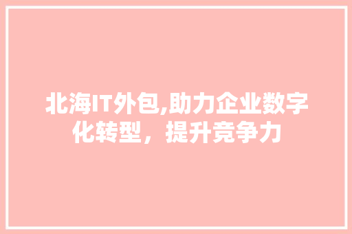 北海IT外包,助力企业数字化转型，提升竞争力