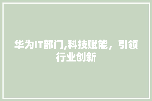 华为IT部门,科技赋能，引领行业创新