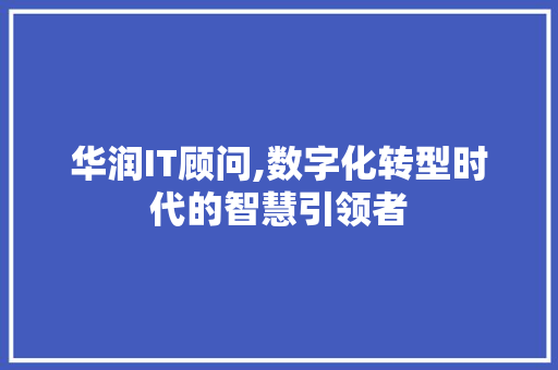华润IT顾问,数字化转型时代的智慧引领者