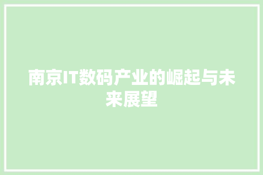 南京IT数码产业的崛起与未来展望