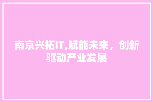 南京兴拓IT,赋能未来，创新驱动产业发展