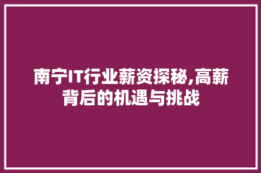南宁IT行业薪资探秘,高薪背后的机遇与挑战