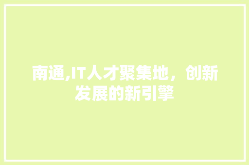 南通,IT人才聚集地，创新发展的新引擎
