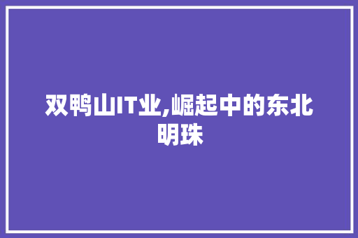 双鸭山IT业,崛起中的东北明珠