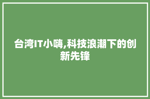 台湾IT小嗨,科技浪潮下的创新先锋