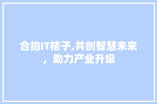 合拍IT桔子,共创智慧未来，助力产业升级