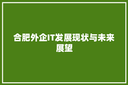 合肥外企IT发展现状与未来展望