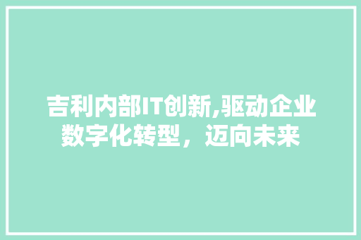 吉利内部IT创新,驱动企业数字化转型，迈向未来