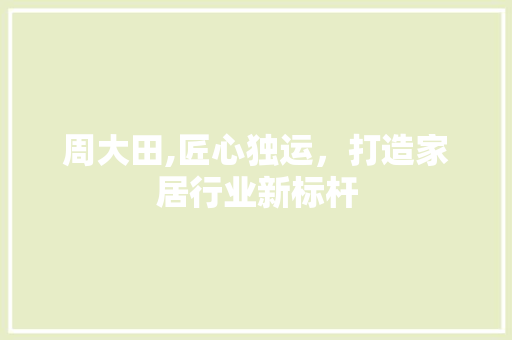 周大田,匠心独运，打造家居行业新标杆