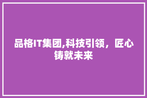 品格IT集团,科技引领，匠心铸就未来