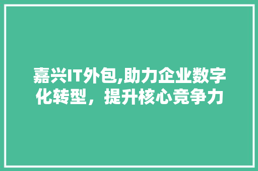 嘉兴IT外包,助力企业数字化转型，提升核心竞争力