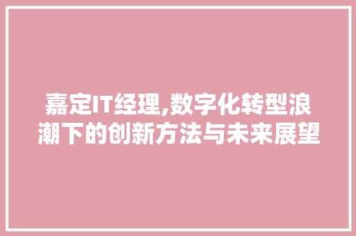嘉定IT经理,数字化转型浪潮下的创新方法与未来展望